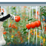 L'innovazione digitale nell'agroalimentare: a che punto siamo? (2023)