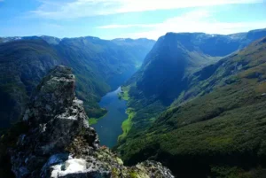 Asostenitore test no brochure